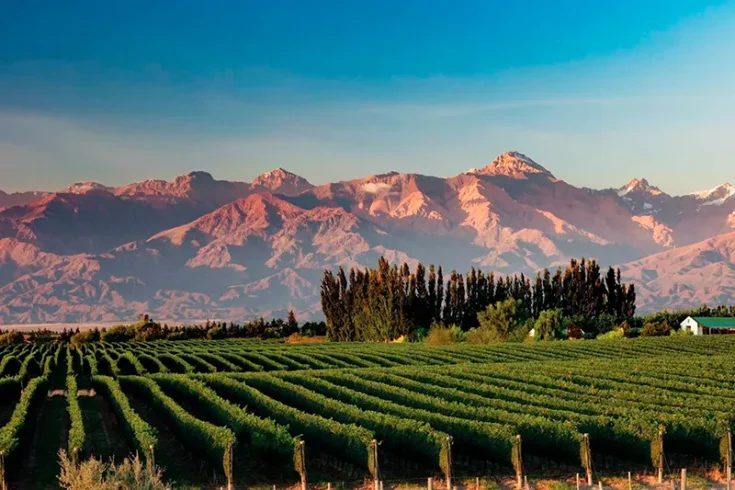mendoza